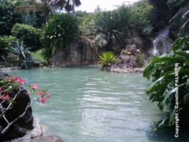 le Jardin botanique de Deshaies