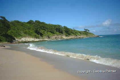 Plage des Amandiers